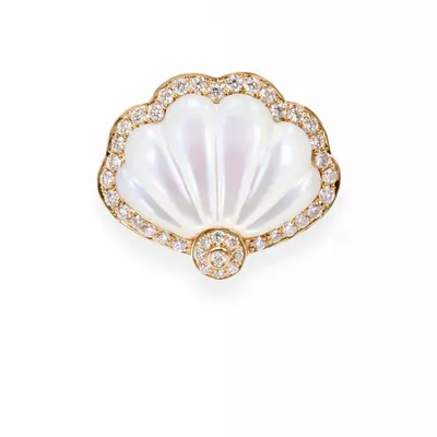 Shell Earrings